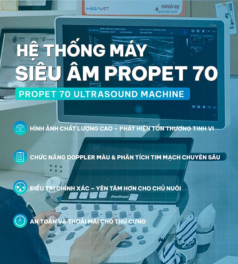 banner-slide-1-mobile