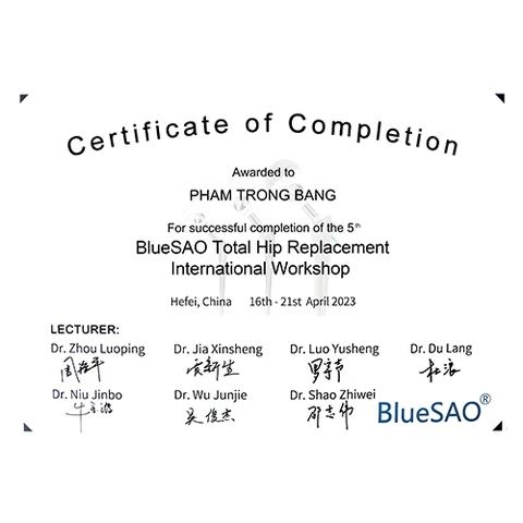 BlueSAO Top Hip Replacement International Workshop in Hefei, China