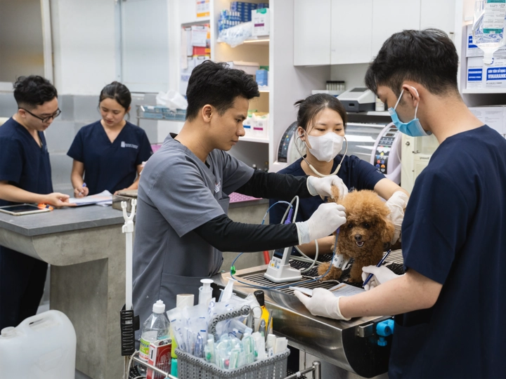 img-slide-10-resized