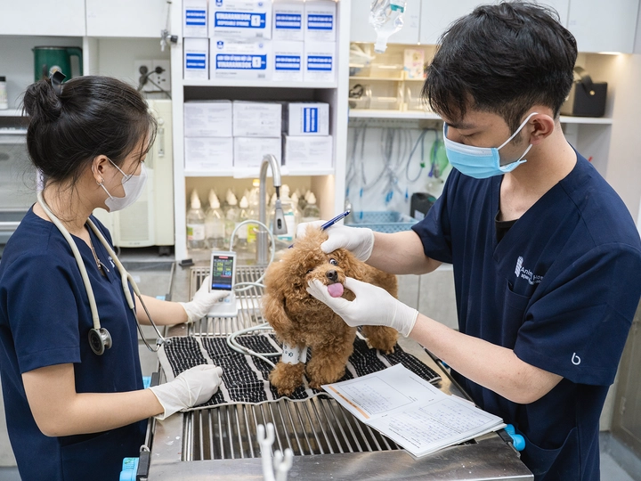 img-slide-11-resized