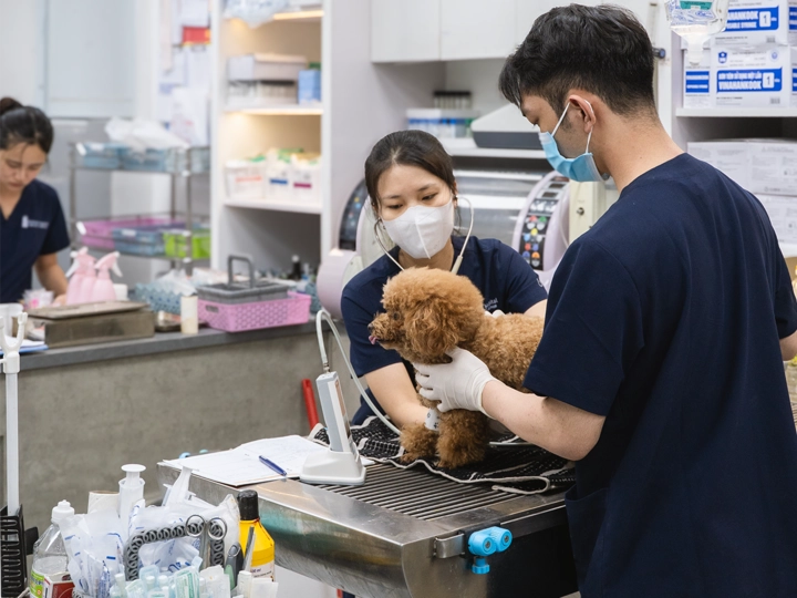 img-slide-12-resized