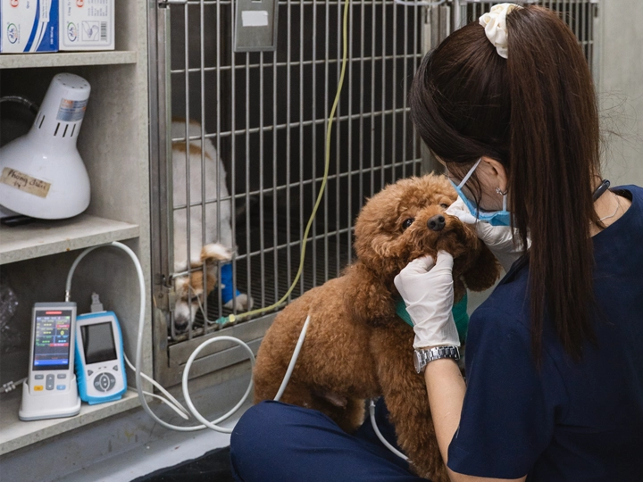 img-slide-13-resized