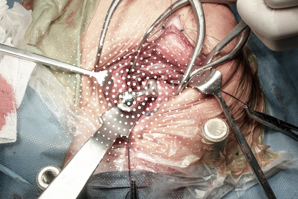 phẫu thuật thay khớp háng chó mèo