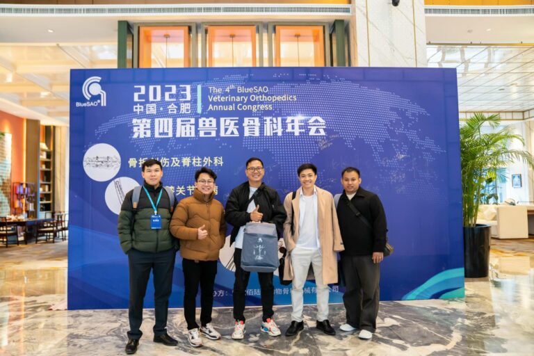 490541493_9132163320220968_7091354587972453620_n