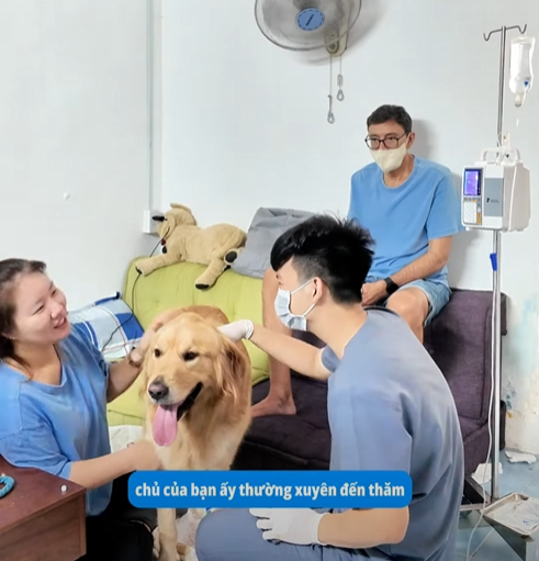 Thoái Hóa Khớp Háng Ở Chó