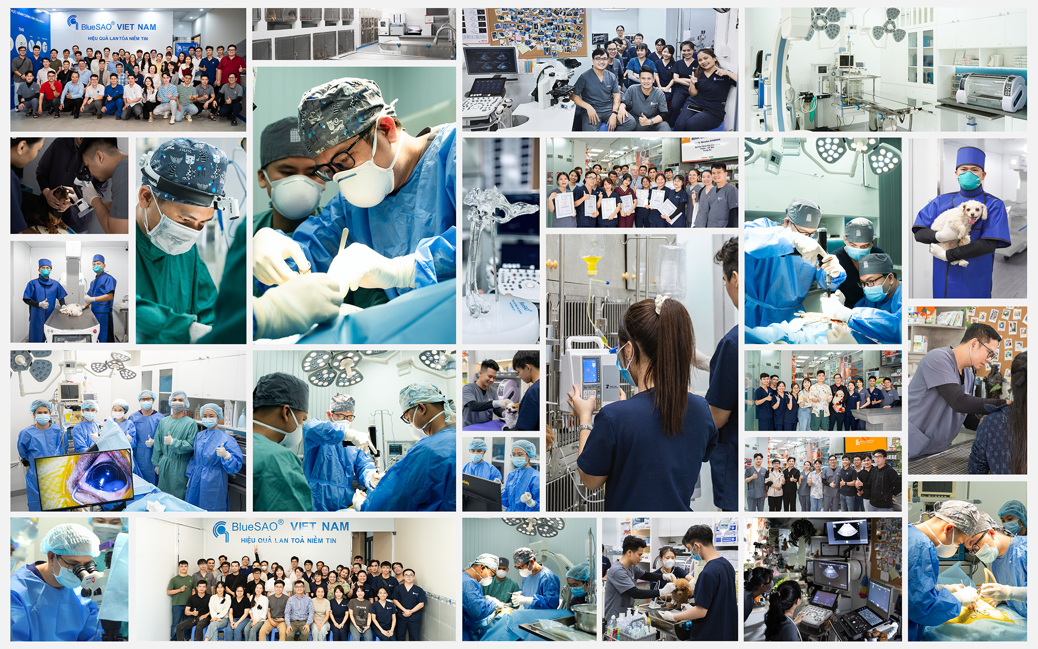 bệnh viện thú y bằng phạm