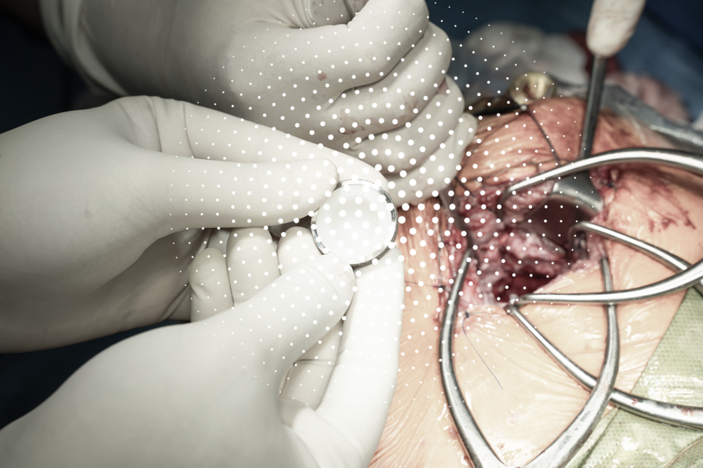 phẫu thuật thay khớp háng chó mèo