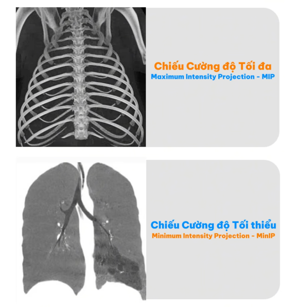 máy CT CBCT thú y