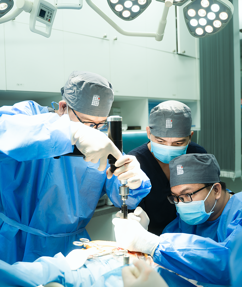 phẫu thuật thay khớp háng thr cho chó mèo