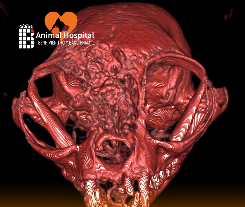 chụp CT tầm soát ung thư chó mèo