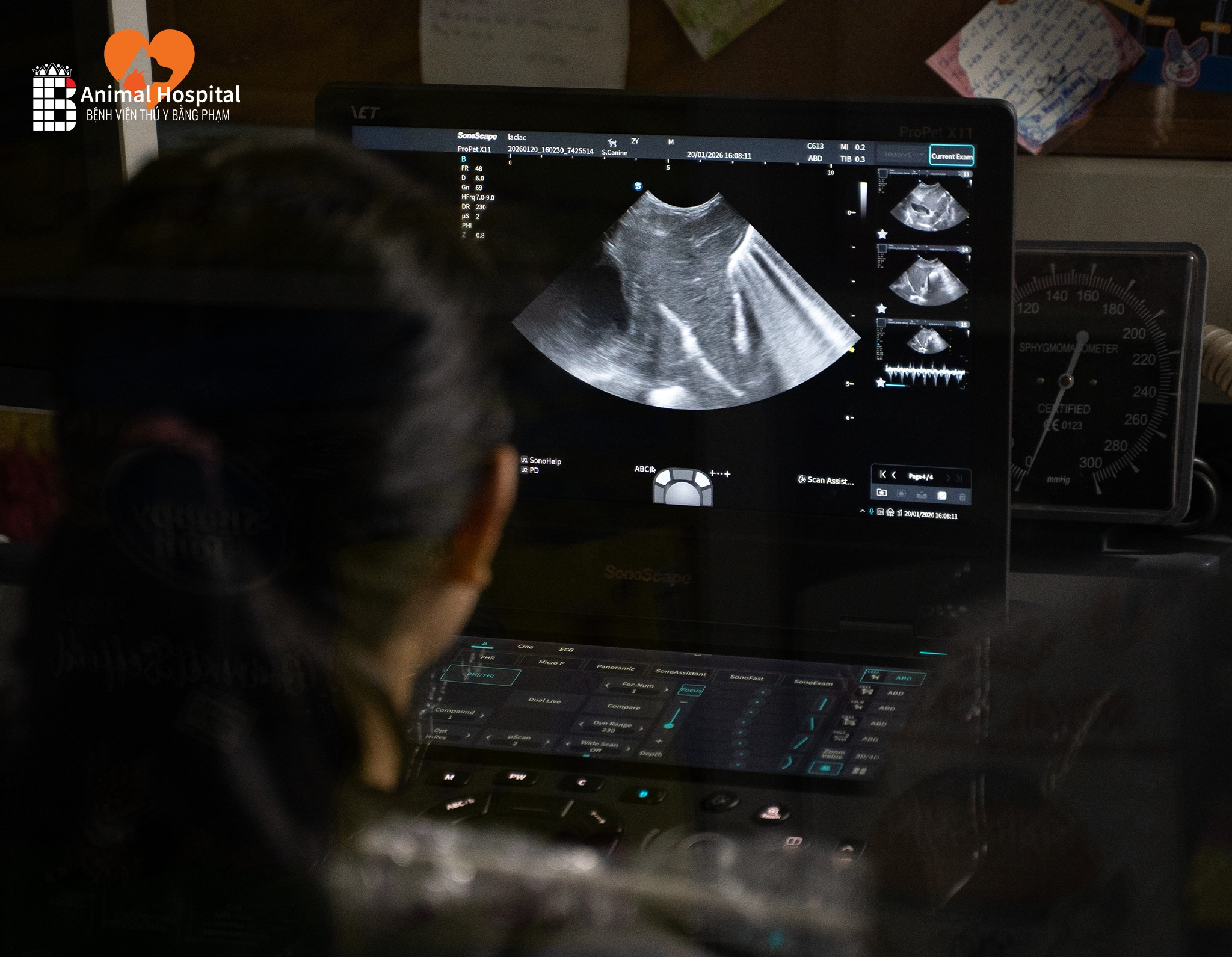 Máy Siêu Âm ProPet X11